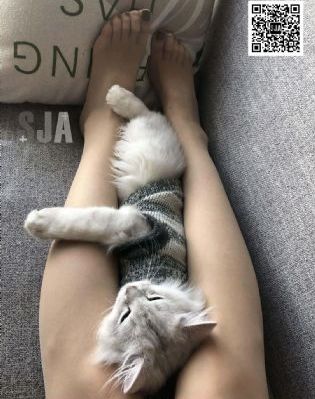 挠女孩脚心
