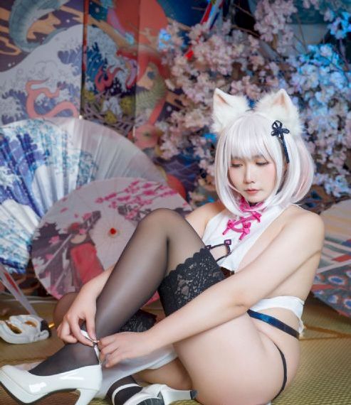 南风知我意电视剧免费观看完整版