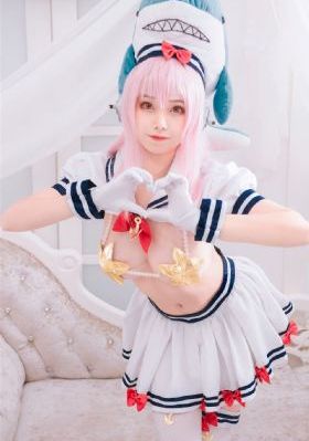 车标