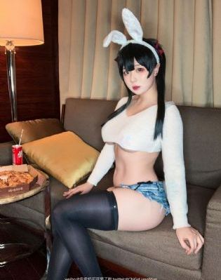 警察锅哥