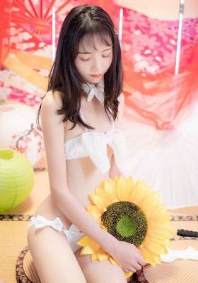 狮子王2
